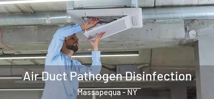  Air Duct Pathogen Disinfection Massapequa - NY