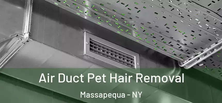  Air Duct Pet Hair Removal Massapequa - NY