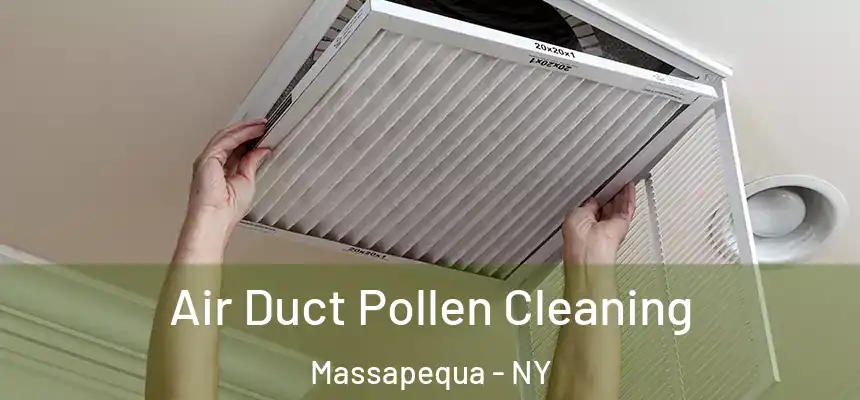  Air Duct Pollen Cleaning Massapequa - NY