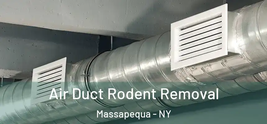 Air Duct Rodent Removal Massapequa - NY
