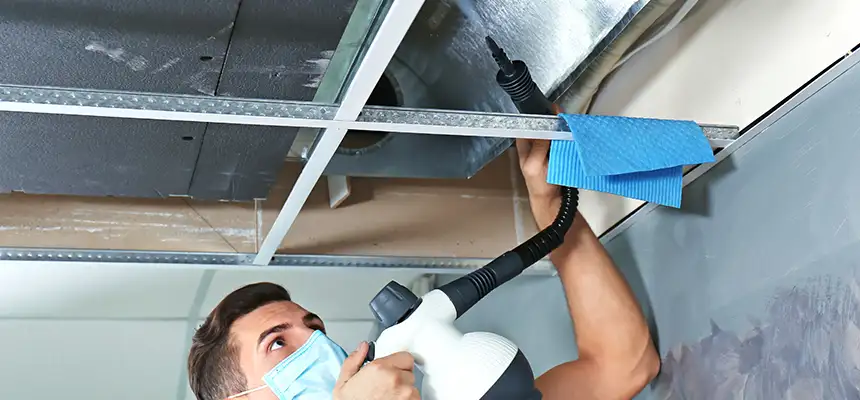 Our Air Duct Rodent Removal Services in Massapequa, NY