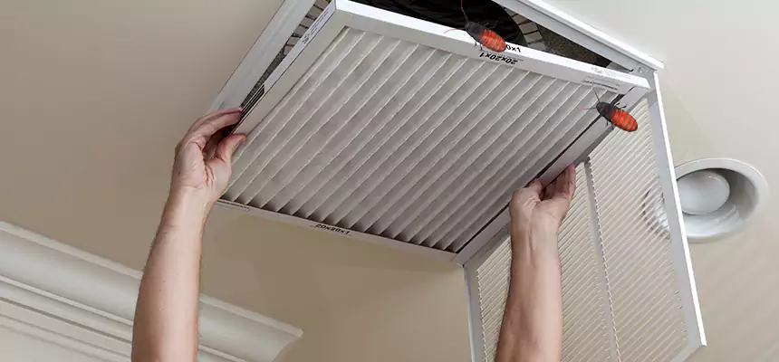 Our Insect Removal from Air Ducts Services in Massapequa, NY