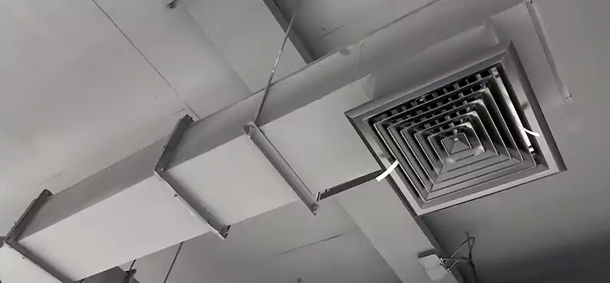 Our Rodent Droppings In Vents Services in Massapequa, NY