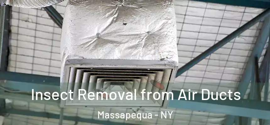  Insect Removal from Air Ducts Massapequa - NY