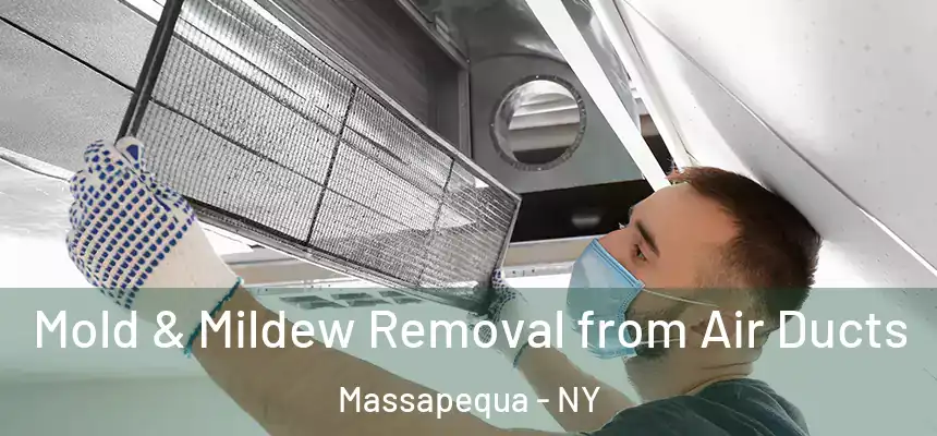 Mold & Mildew Removal from Air Ducts Massapequa - NY