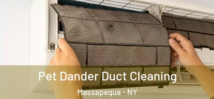 Pet Dander Duct Cleaning Massapequa - NY
