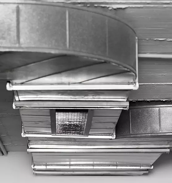 Professional Air Duct Pest Removal in Massapequa, NY