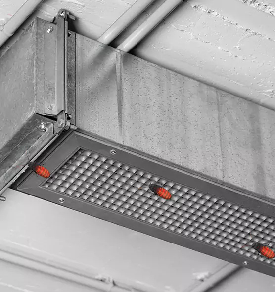 Affordable Insect Removal from Air Ducts in Massapequa, NY