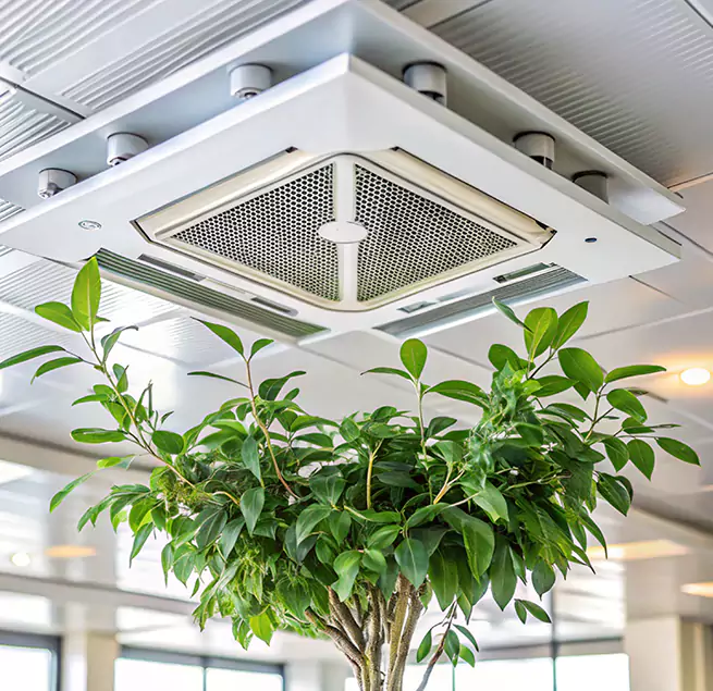 Why Homeowners & Businesses Trust Us in Massapequa, NY?