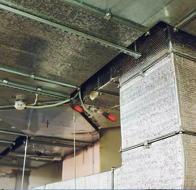 Why Homeowners & Businesses Trust Us Massapequa, NY?