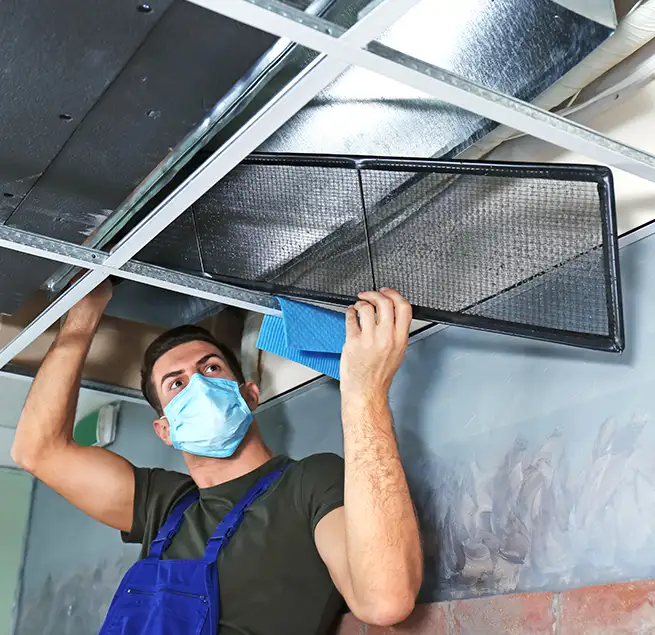 Why Homeowners & Businesses Trust Us in Massapequa, NY?