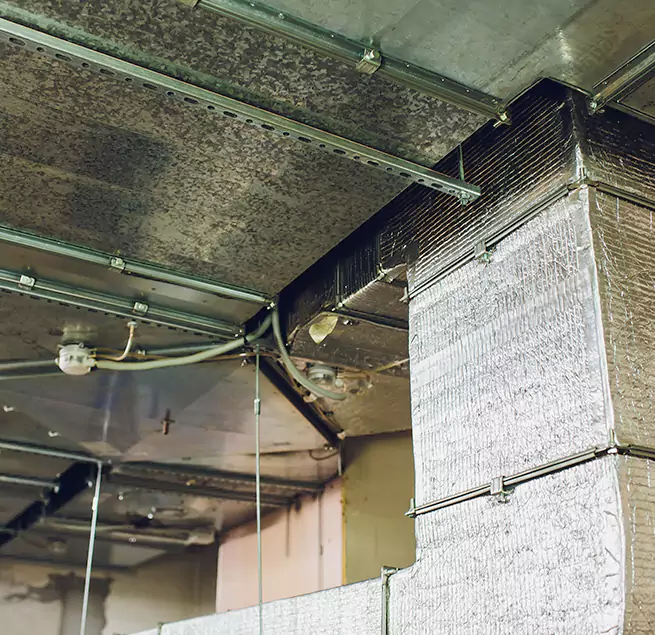 Why Homeowners & Businesses Trust Us in Massapequa, NY?